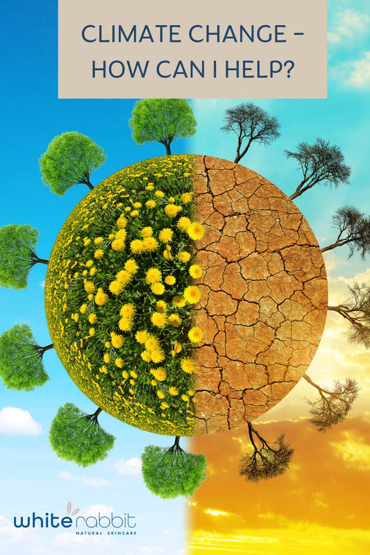 Climate Change - How can I help? - White Rabbit Skin Care