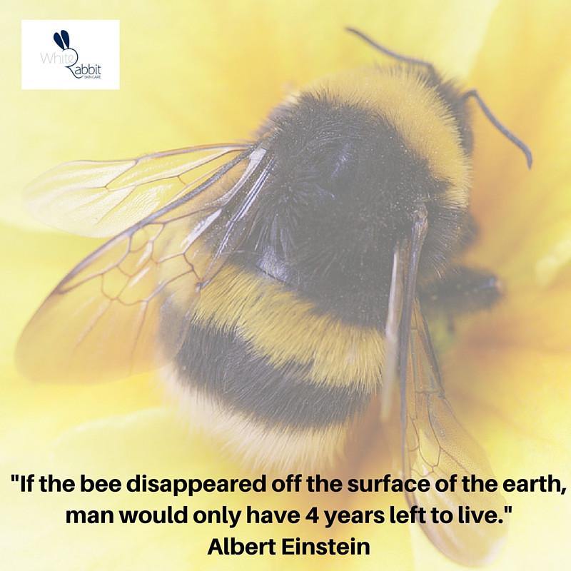 Nature's buying Humble Bumble Bee