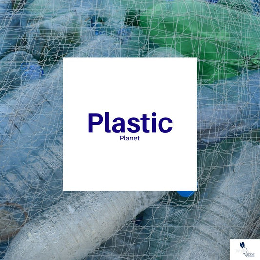 Plastic Planet - White Rabbit Skin Care