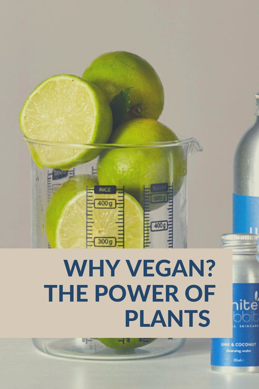 Why Vegan? - White Rabbit Skin Care
