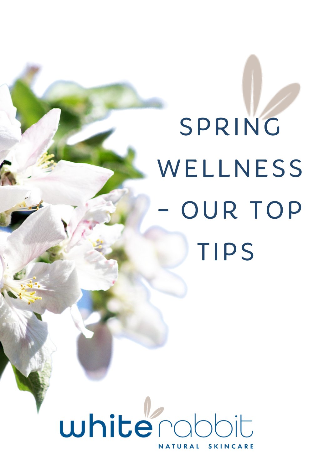 Spring Wellness - Top Tips - White Rabbit Skin Care