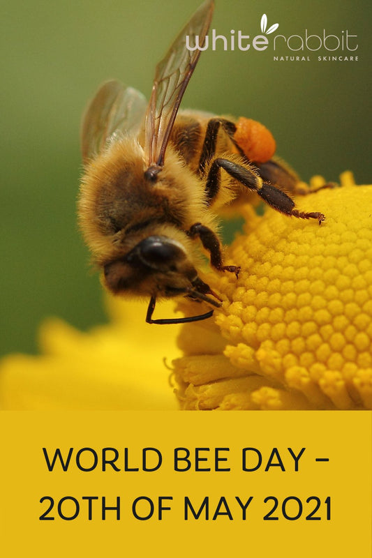 World Bee Day - 20th of May - White Rabbit Skin Care